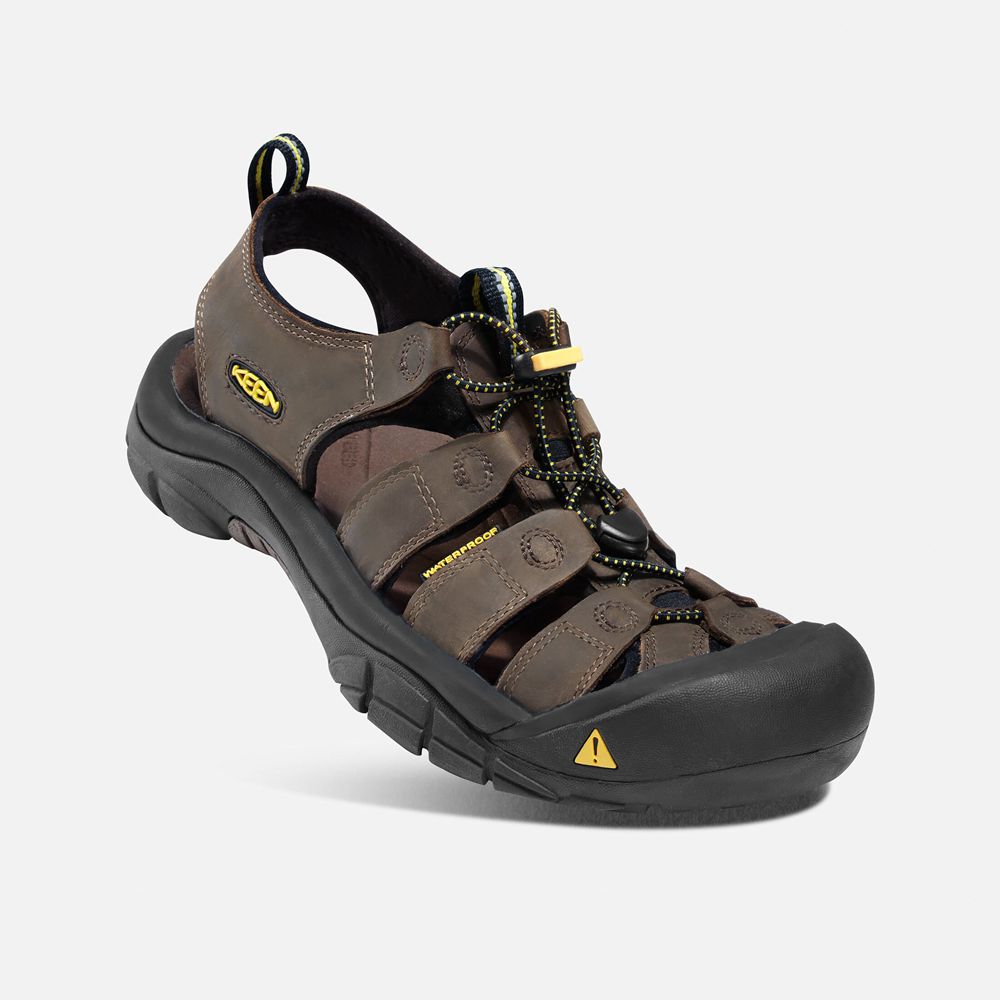 Sandales de Randonnée Keen Homme Marron/Noir | Newport | POAZD-2097